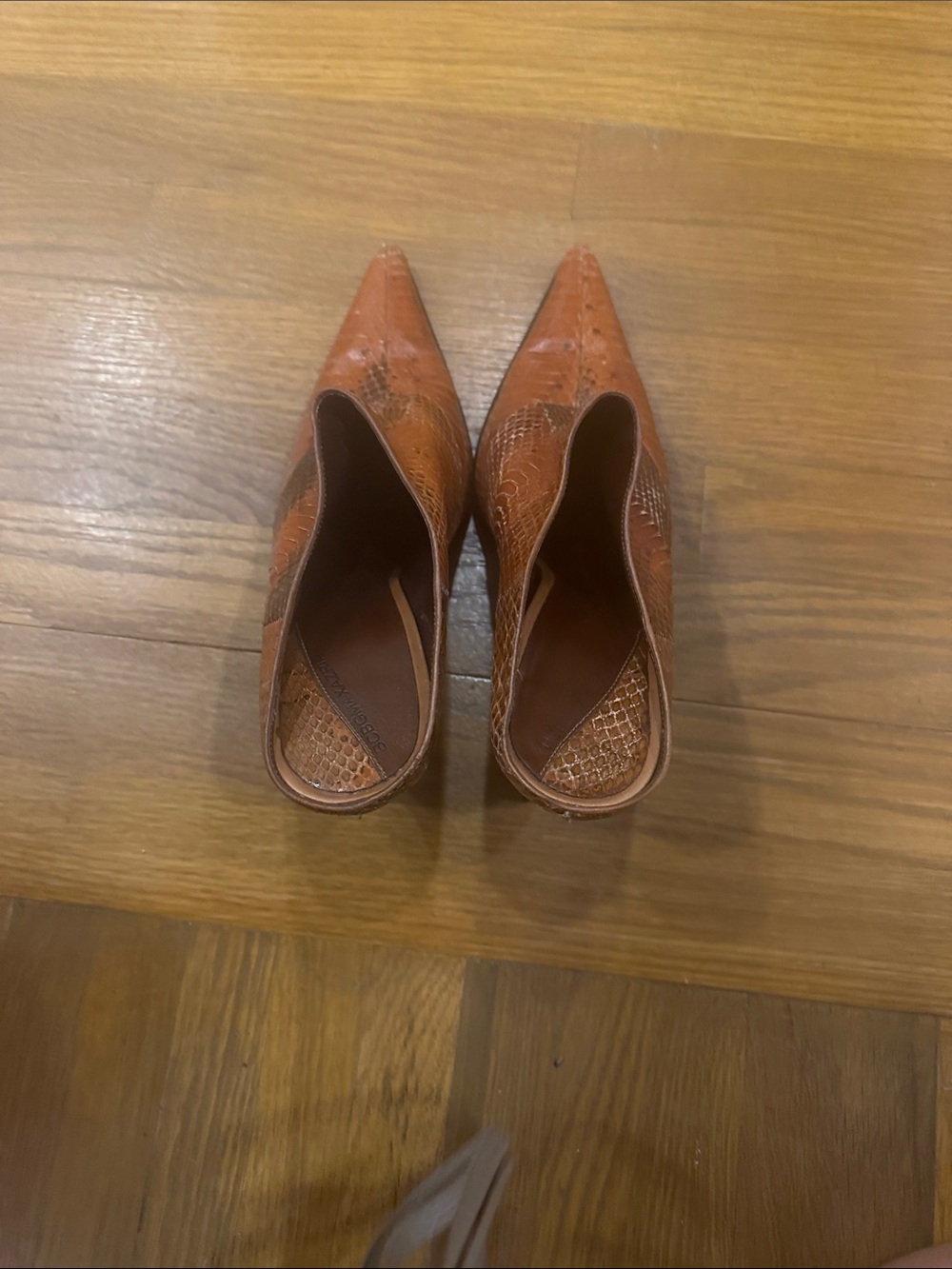 BCBG Real Snakeskin Slide Heels - Picture 4 of 6